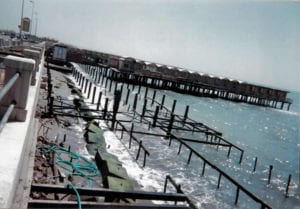 Photograph from the M.T.M. Service archive
